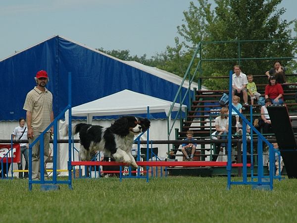 Extreme Agility víkend - sobota