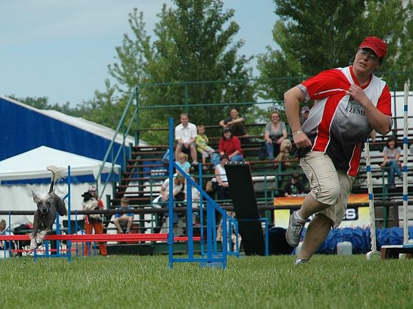Extreme Agility víkend - sobota