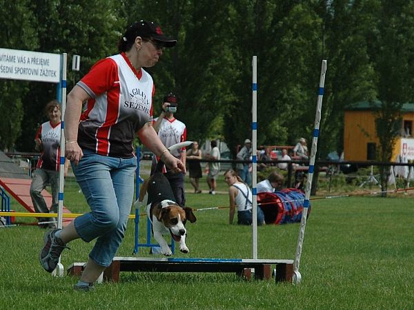 Extreme Agility víkend - sobota