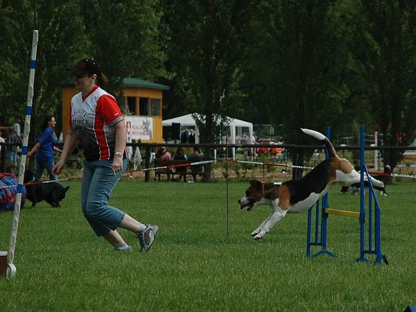 Extreme Agility víkend - sobota