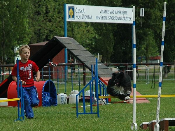 Extreme Agility víkend - sobota