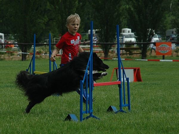 Extreme Agility víkend - sobota