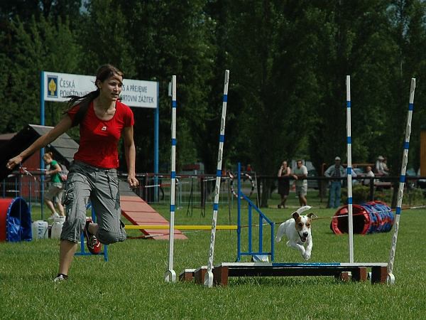 Extreme Agility víkend - sobota