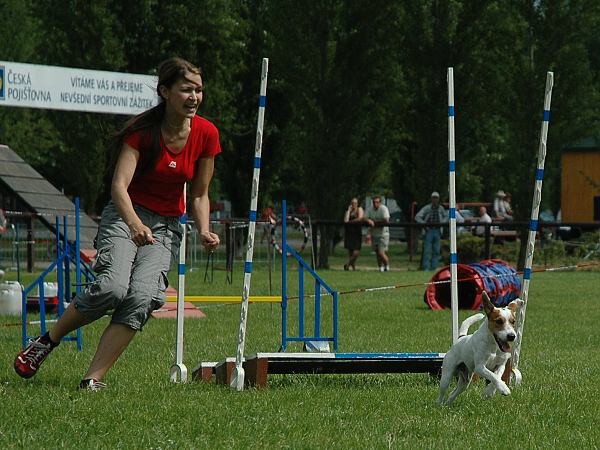 Extreme Agility víkend - sobota
