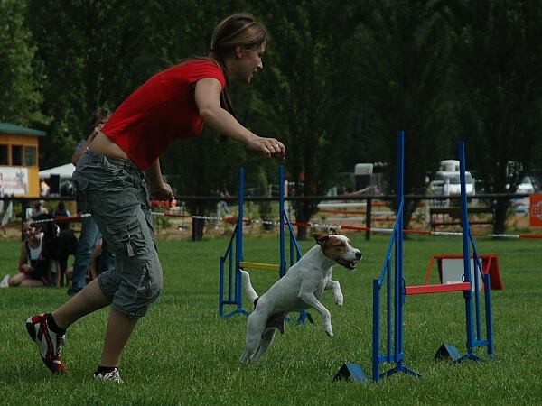 Extreme Agility víkend - sobota