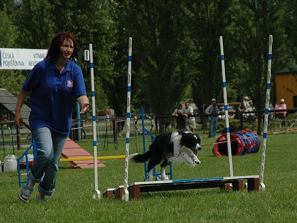 Extreme Agility víkend - sobota