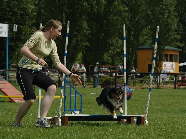 Extreme Agility víkend - sobota