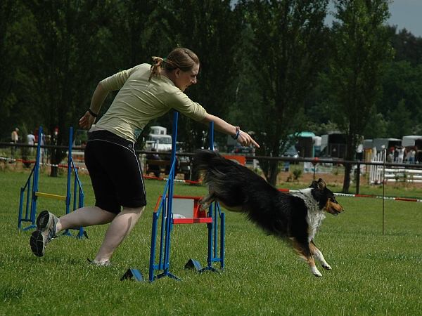 Extreme Agility víkend - sobota