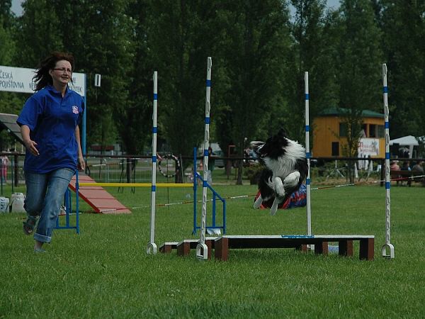 Extreme Agility víkend - sobota
