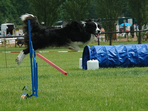 Extreme Agility víkend - sobota