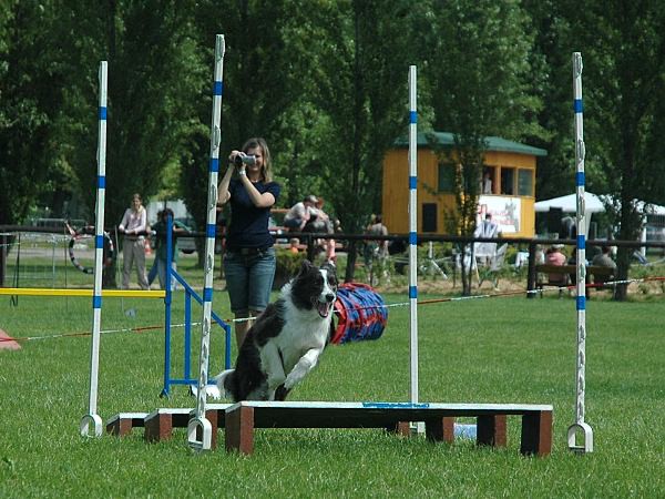 Extreme Agility víkend - sobota