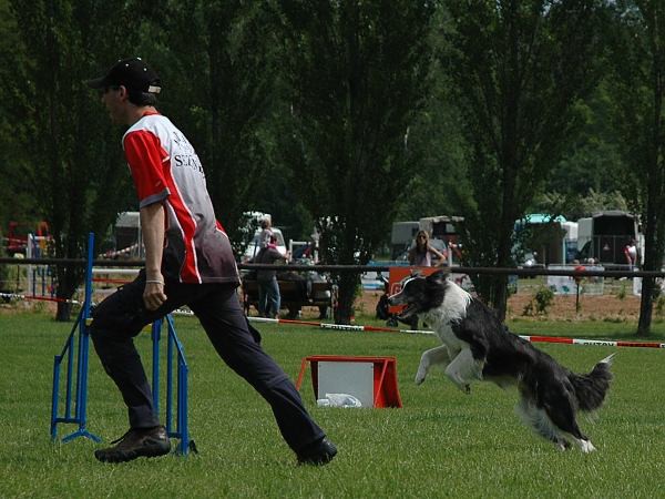 Extreme Agility víkend - sobota