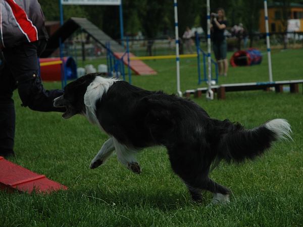 Extreme Agility víkend - sobota