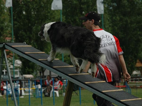 Extreme Agility víkend - sobota