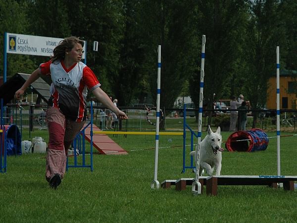 Extreme Agility víkend - sobota
