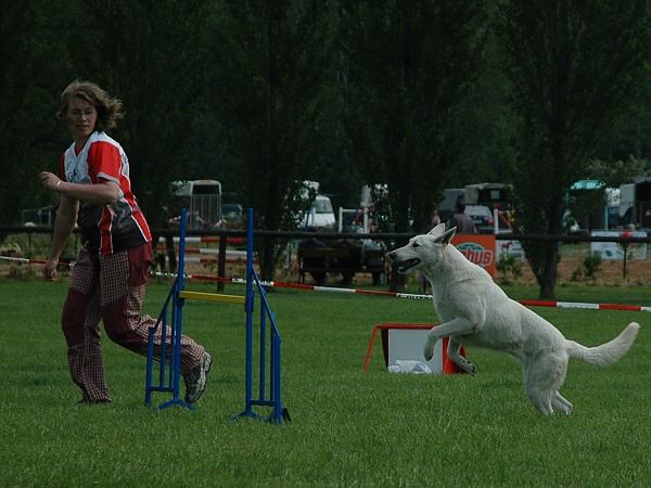 Extreme Agility víkend - sobota