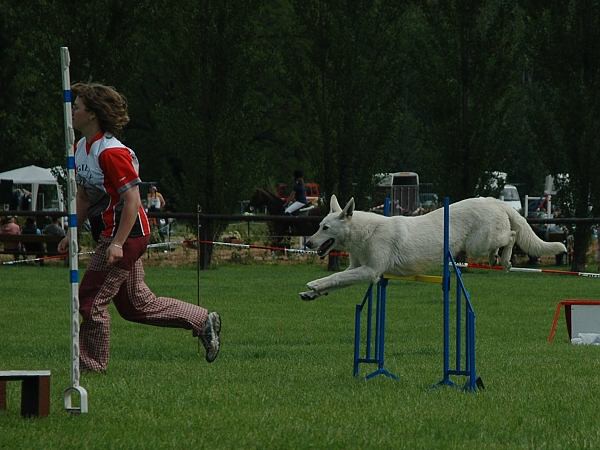 Extreme Agility víkend - sobota