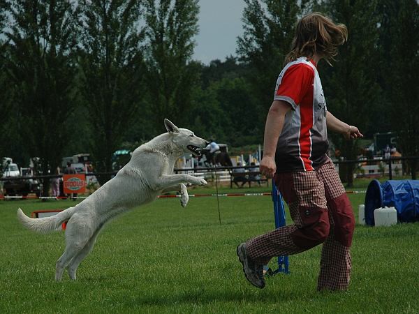 Extreme Agility víkend - sobota