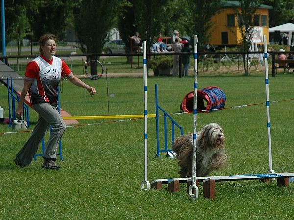 Extreme Agility víkend - sobota