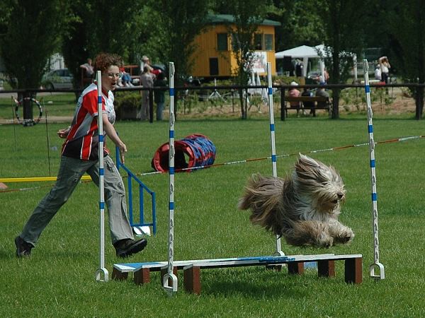 Extreme Agility víkend - sobota