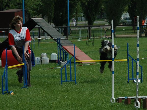 Extreme Agility víkend - sobota
