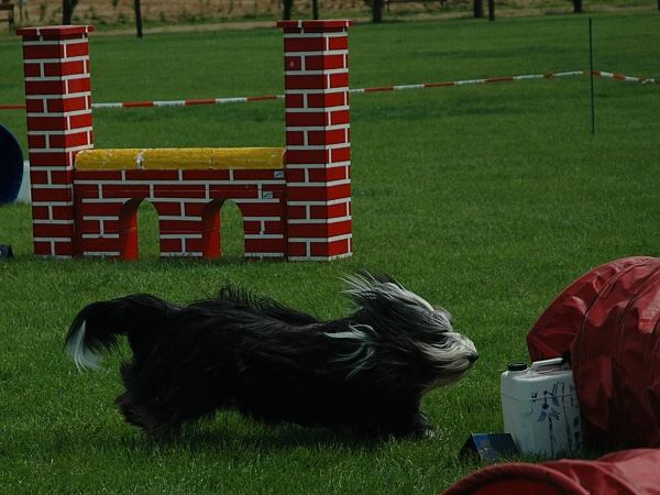 Extreme Agility víkend - sobota