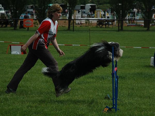 Extreme Agility víkend - sobota