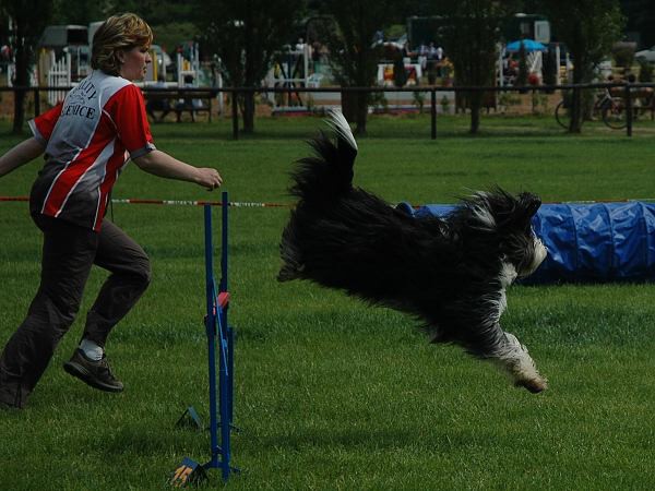 Extreme Agility víkend - sobota