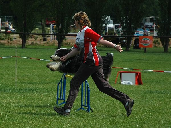 Extreme Agility víkend - sobota