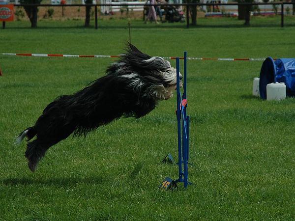 Extreme Agility víkend - sobota