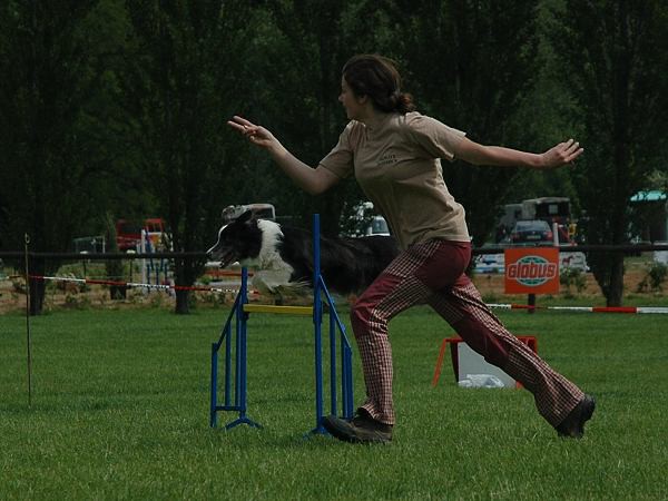 Extreme Agility víkend - sobota