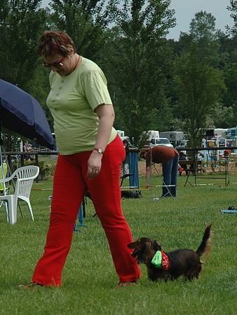 Extreme Agility víkend - sobota