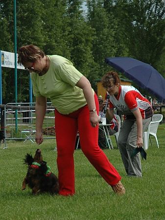 Extreme Agility víkend - sobota
