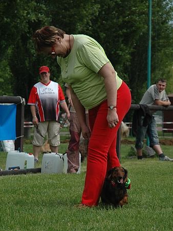Extreme Agility víkend - sobota