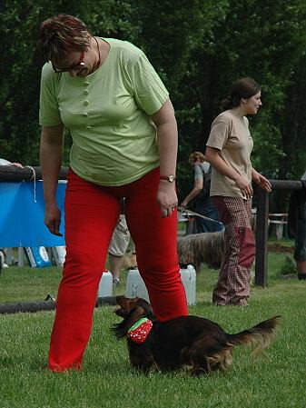 Extreme Agility víkend - sobota