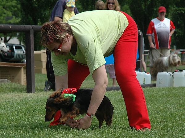 Extreme Agility víkend - sobota