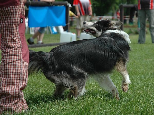 Extreme Agility víkend - sobota