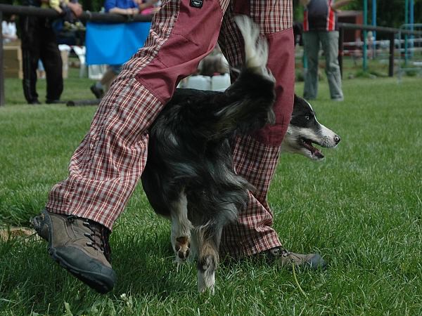 Extreme Agility víkend - sobota