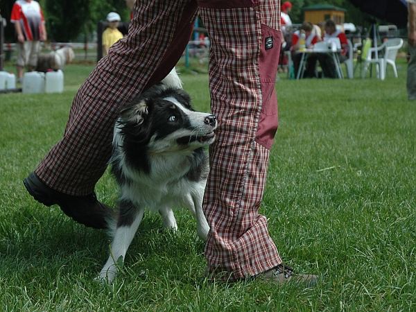 Extreme Agility víkend - sobota