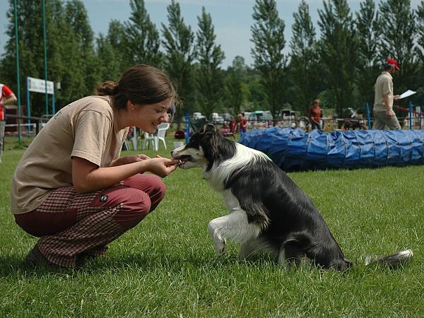 Extreme Agility víkend - sobota