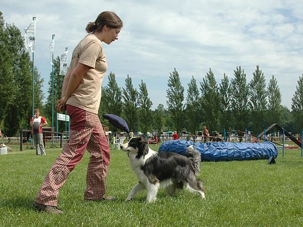 Extreme Agility víkend - sobota
