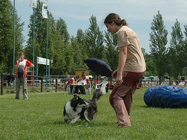Extreme Agility víkend - sobota