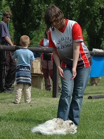 Extreme Agility víkend - sobota