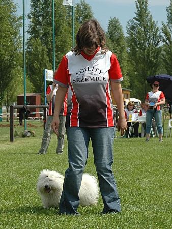 Extreme Agility víkend - sobota