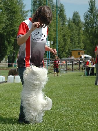 Extreme Agility víkend - sobota