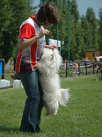 Extreme Agility víkend - sobota