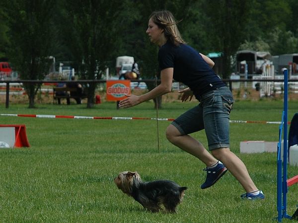 Extreme Agility víkend - sobota