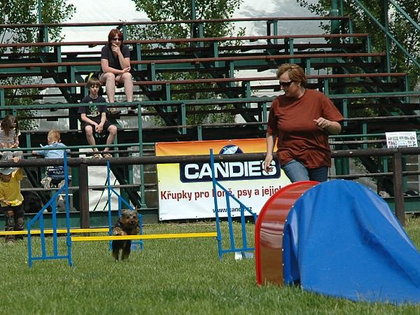 Extreme Agility víkend - sobota