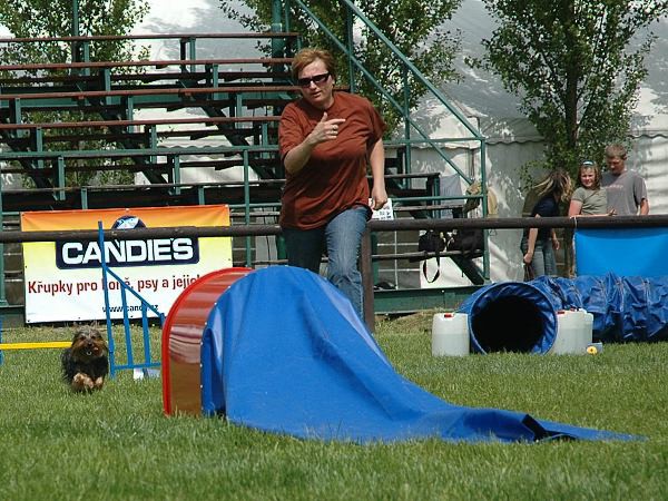 Extreme Agility víkend - sobota
