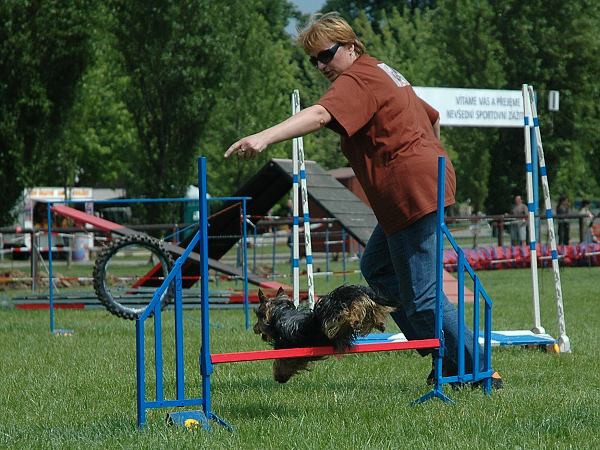 Extreme Agility víkend - sobota
